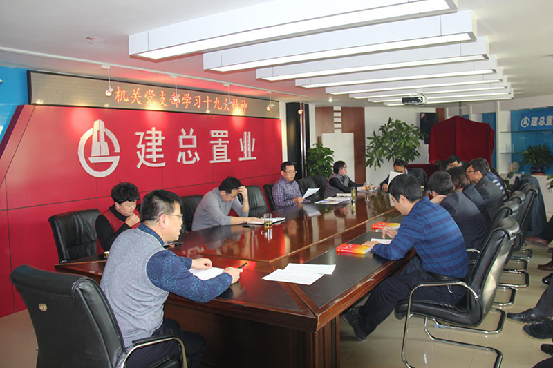 公司機關黨支部學習貫徹十九大精神