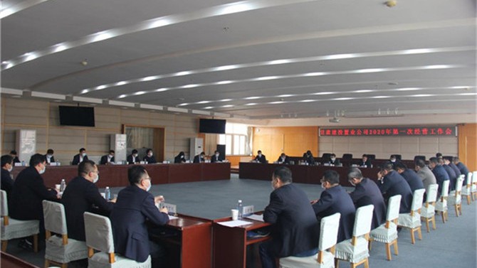 置業公司召開2020年第一次經營工作會