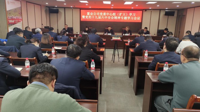 置業公司召開黨的十九屆六中全會精神  專題學習會