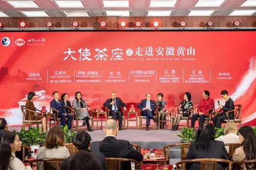 大使茶座主題文化沙龍活動走進祁門 促進文化藝術交流的橋梁